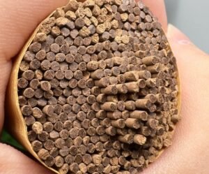 Fusen Red Soil Agarwood - Elegant Incense Sticks