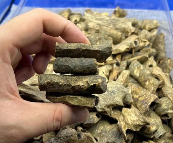 白块料 (1) Dianbai honey-scented white agarwood pieces