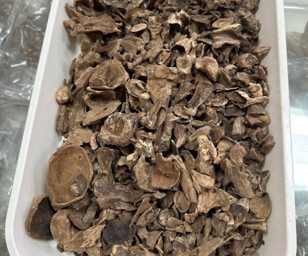 Hainan White-Shell Kyara Oud Material