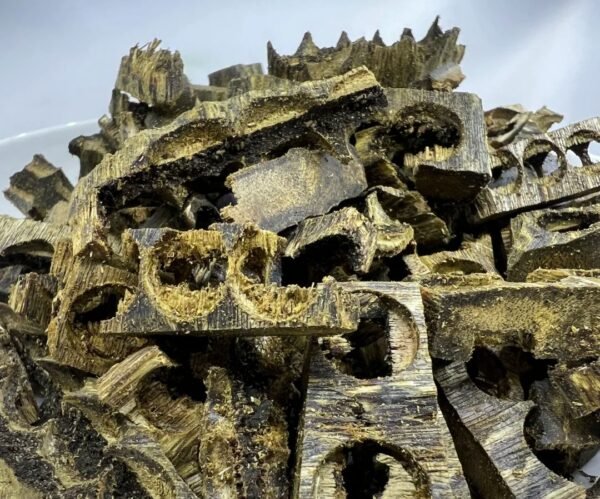 白奇车珠料 (4) White Kynam Agarwood (bead fragments)