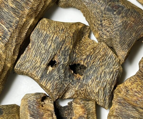 绿块料 (3) Hainan Yingge Green Kyara Agarwood Sinking Wood Blocks