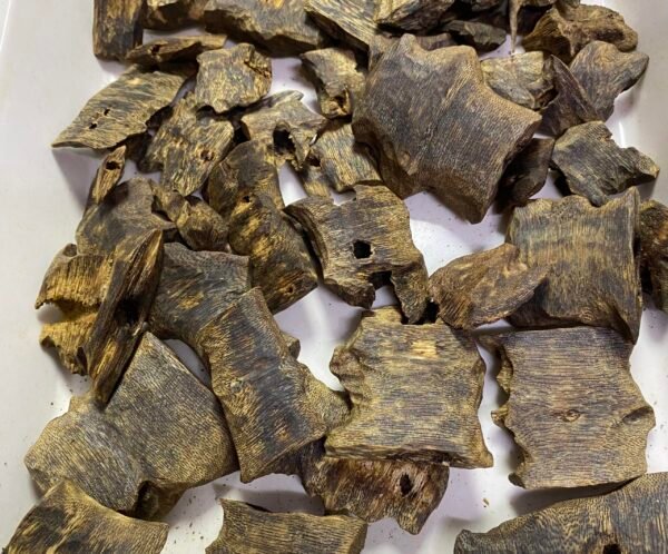 绿块料 (4) Hainan Yingge Green Kyara Agarwood Sinking Wood Blocks