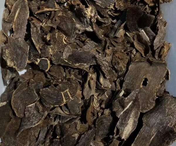 Hainan Oud Shell Chunks