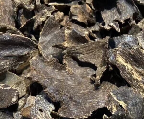 Hainan Oud Shell Chunks