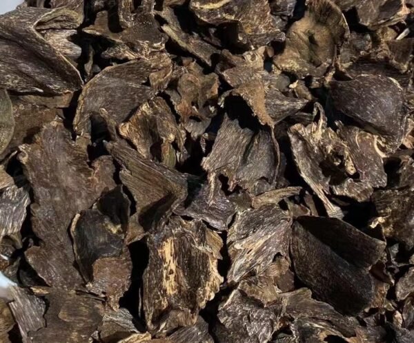 Hainan Oud Shell Chunks