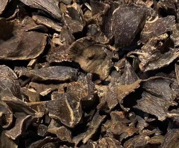 Hainan Oud Shell Chunks