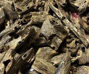 Hainan Aquilaria Sinensis Insect-Damaged Oud