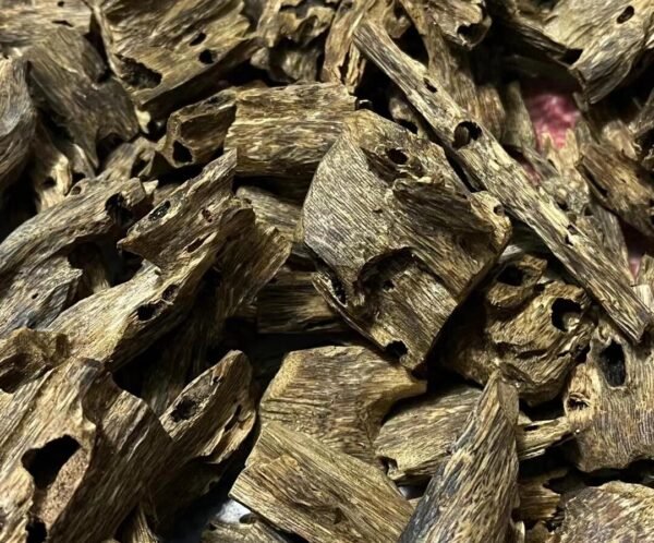 Hainan Aquilaria Sinensis Insect-Damaged Oud