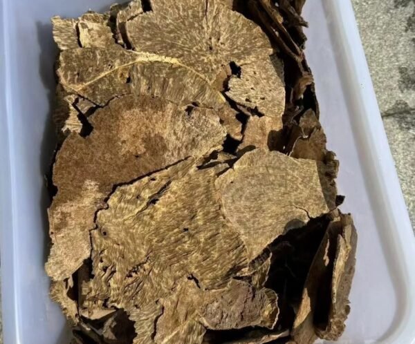 黄板头 (3) Brunei yellow agarwood (Kyara) wood pieces