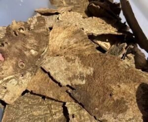 黄板头 (5) Brunei yellow agarwood (Kyara) wood pieces