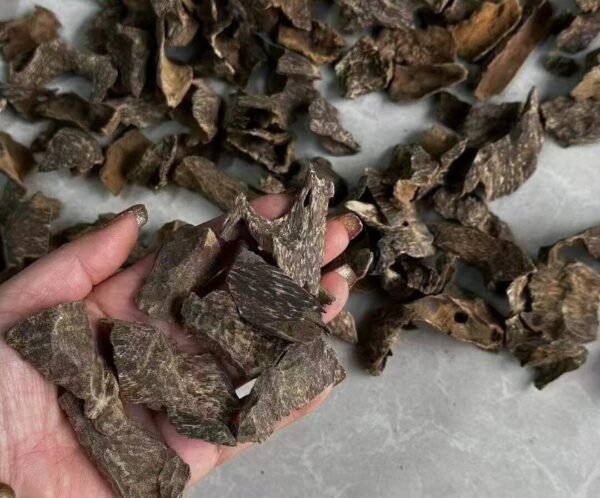 Laos Black Kyara Oud Shell Chunks